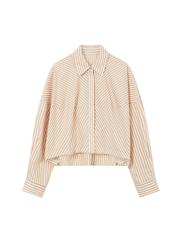 Cotton Cropped Striped Shirt