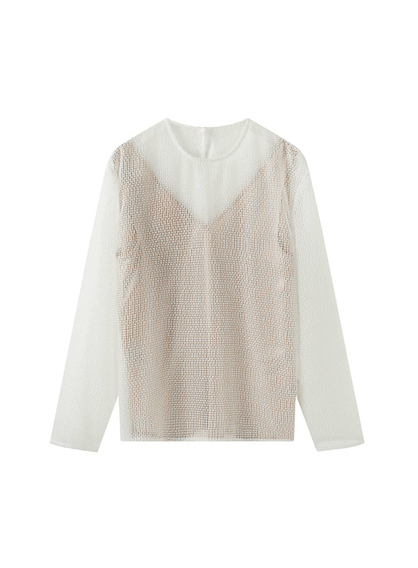 Sheer Mesh Backless Two-piece Top