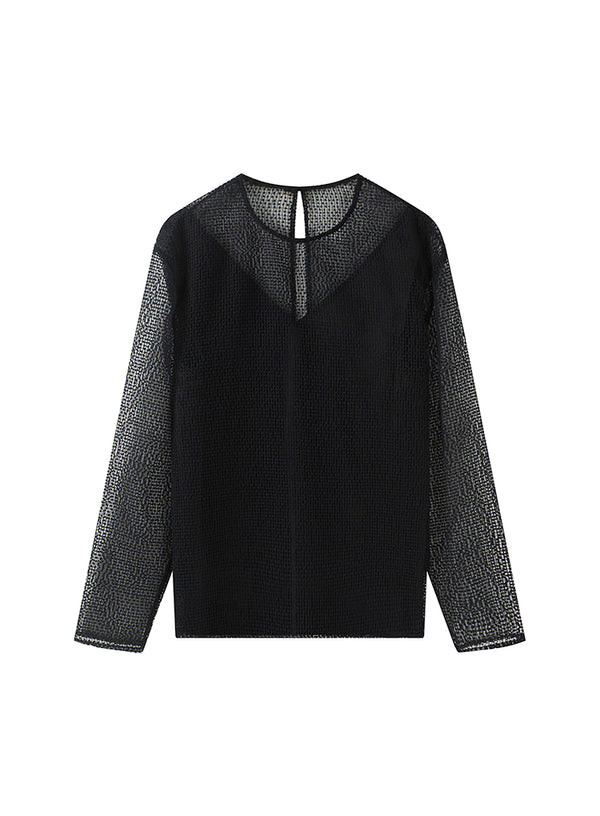Sheer Mesh Backless Two-piece Top