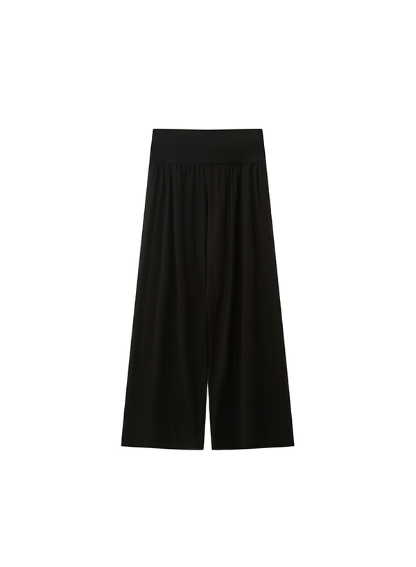 High Waisted Drape Wide Leg Pants